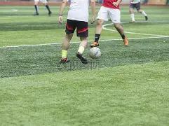 沪粤篮球巅,峰对决春节,上演,中国北京PK10赛车网,中国北京PK10赛车网首页,中国北京PK10赛车网首页官方